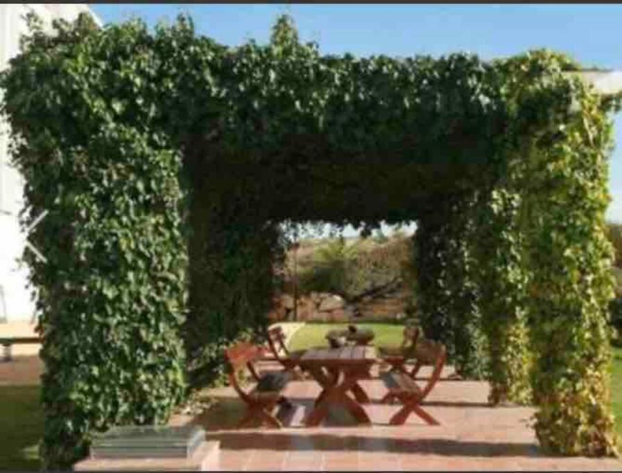 Top-floor Beachfront With Parking, Pool, & Spacious Sea-view Balcony Appartamento